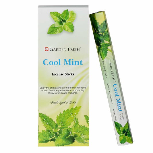 Cool Mint Hexagon Incense sticks